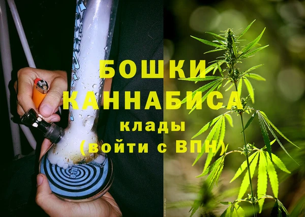 индика Бугульма