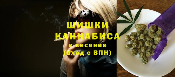 индика Бугульма