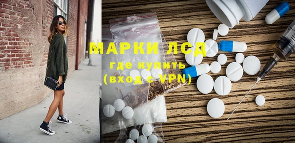 индика Бугульма