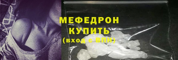 МДПВ Бородино