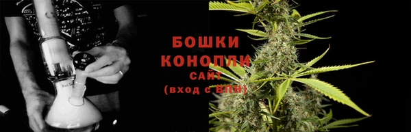 МДПВ Бородино
