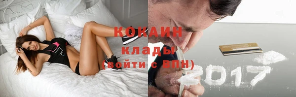 МДПВ Бородино