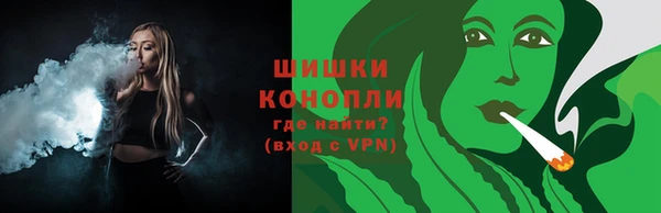 индика Бугульма