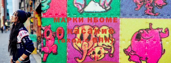 МДПВ Бородино