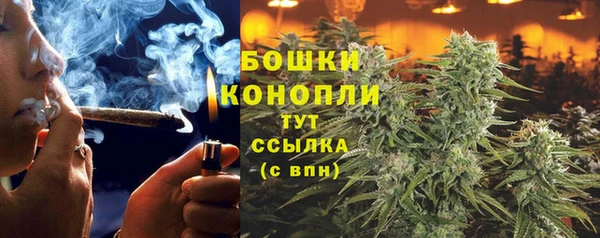 индика Бугульма