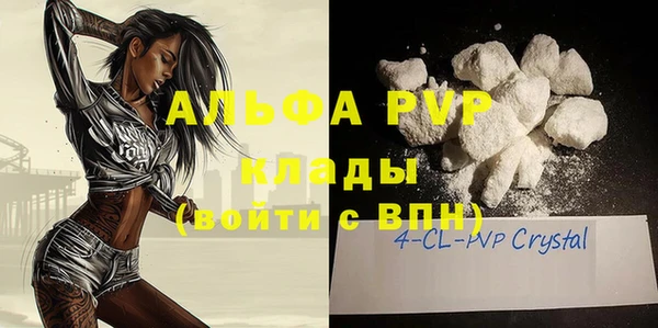 индика Бугульма