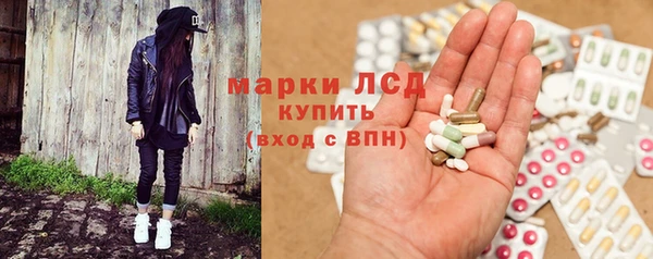 индика Бугульма