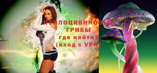 МДПВ Бородино