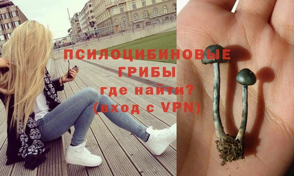 МДПВ Бородино