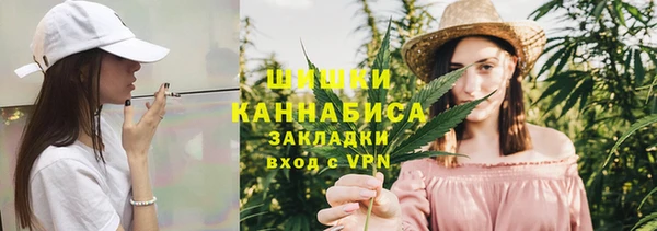 МДПВ Бородино