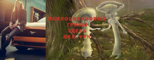 МДПВ Бородино