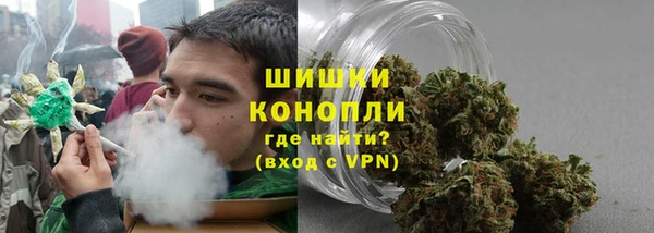 индика Бугульма