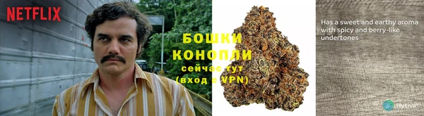 МДПВ Бородино