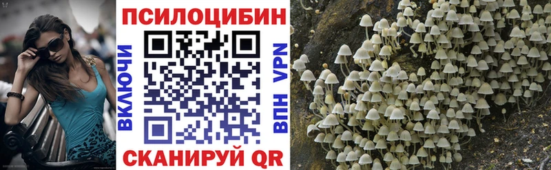 Псилоцибиновые грибы мицелий  Новосиль 